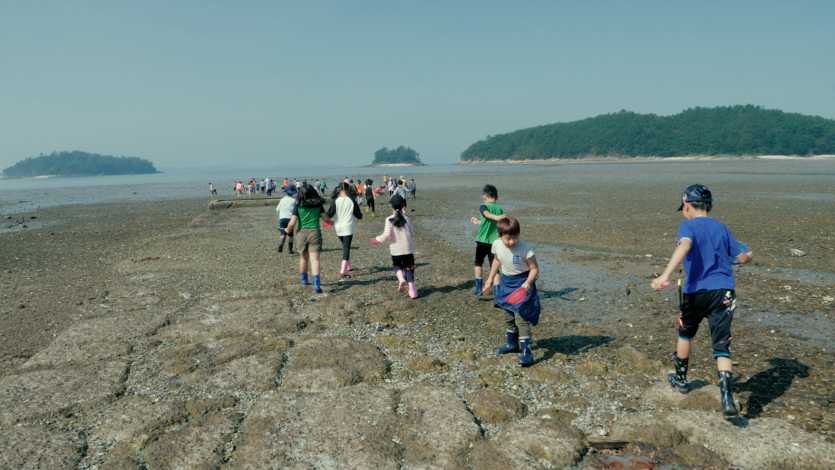 ca52e79705e7b1f26da8597debbd4b29_1777009775_6743.png
