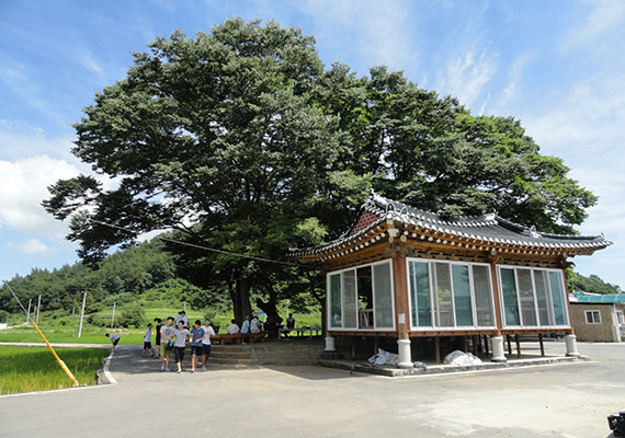 여수 어린이 체험 활동